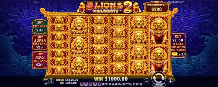 Gambling info site - 5 lions megaways 2